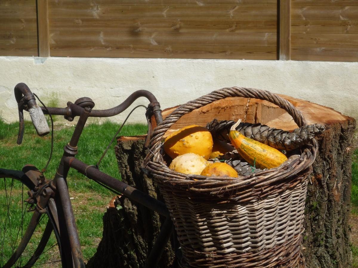 Civrieux Le Relais Du Grand Logis Bed & Breakfast エクステリア 写真